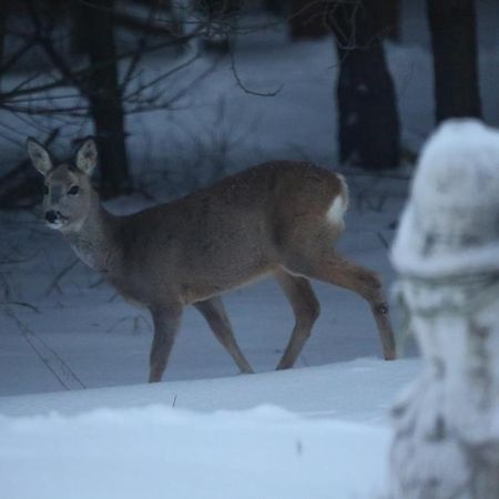 Kompleks Male Dolomity Hucisko  Bagian luar foto
