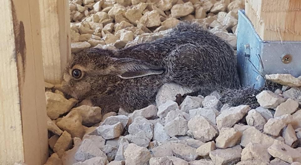 Kompleks Male Dolomity Hucisko  Bagian luar foto